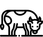 Ganzjährige Freilandhaltung Galloway-Gourmetfleisch Ganzjährige Freilandhaltung, Galloway-Gourmetfleisch, Landwirtschaftliche Direktvermarktung, 88630 Pfullendorf-Otterswang