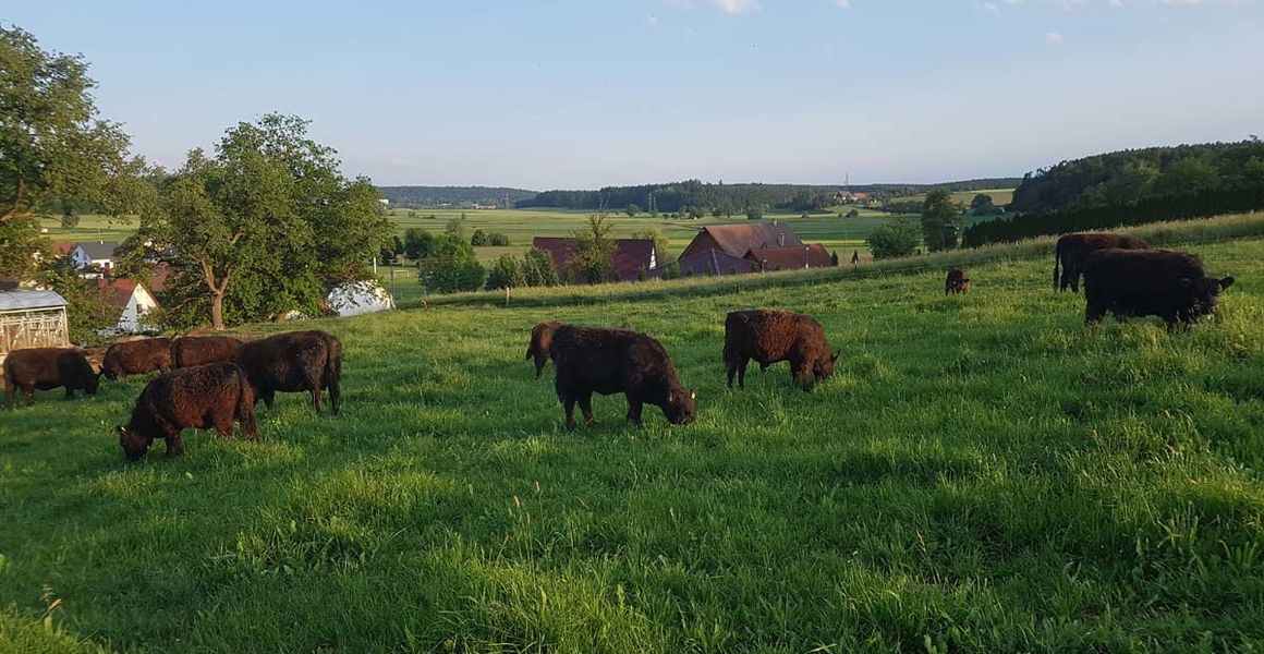 Philosophie unseres Betriebes, Galloway-Gourmetfleisch, Landwirtschaftliche Direktvermarktung, 88630 Pfullendorf-Otterswang