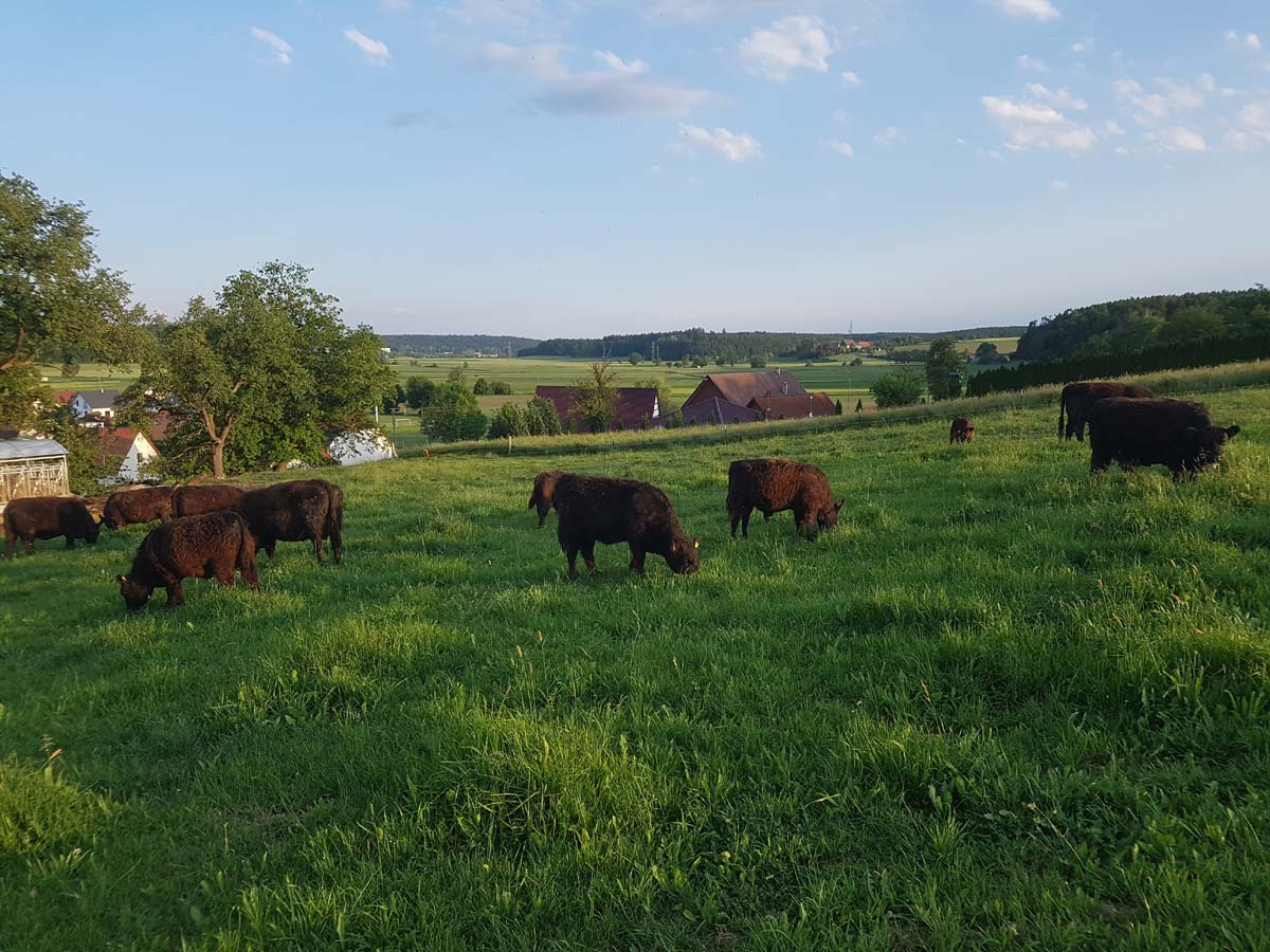 Philosophie unseres Betriebes, Galloway-Gourmetfleisch, Landwirtschaftliche Direktvermarktung, 88630 Pfullendorf-Otterswang